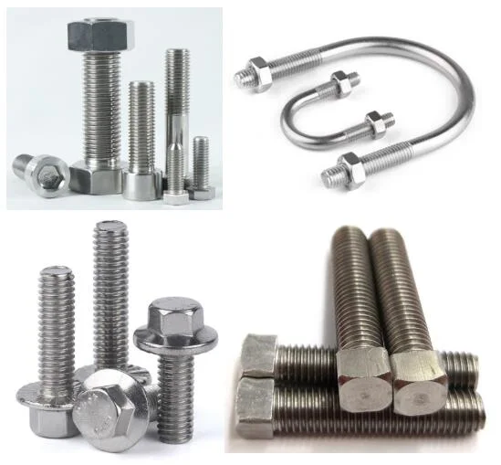 Stainless Steel Hex Head U Bolt Hex Flange Square Head Bolts