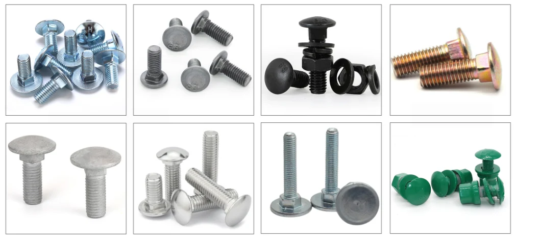 Carriage Bolt Mushroom Round Short Square Neck Head Bolt Coach Bolt Hex Bolt T Bolt U Bolt Toggle Bolt Anchor Bolt Screw Bolt Railway Bolts Lag Bolt in Stock