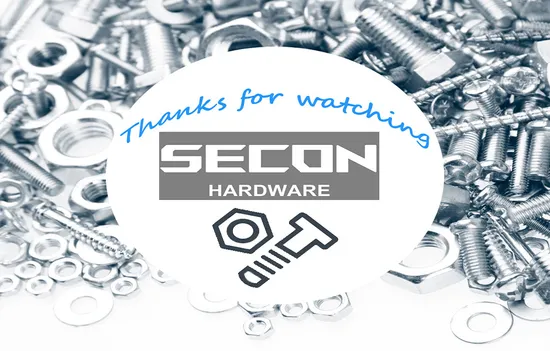 China Factory Hexagon Nut/Nylon Insert Lock Nut/Coupling Nut/Hex Nut/Flange Nut/Wing Nut/Cage Nut/Tee Nut/Spring Nut/Castel Nut/ Welding Nut/Square Cap Long Nut