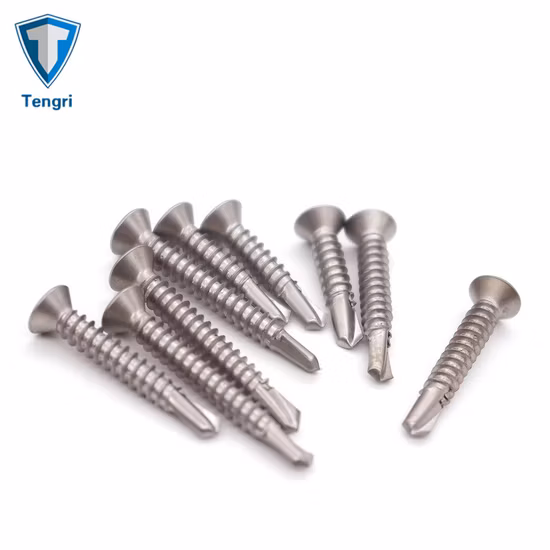 Duplex 2205 Parafusos de fixação Torx Parafuso autoperfurante de cabeça cilíndrica Parafuso antirroubo para telhado Parafuso de máquina à prova de adulteração Parafusos Torx Tek