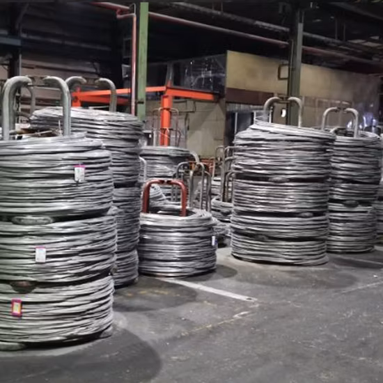 Aço Carbono 4.8 8.8 DIN603 M5-M20 Parafuso de Transporte de Pescoço Oval com Porca e Arruela