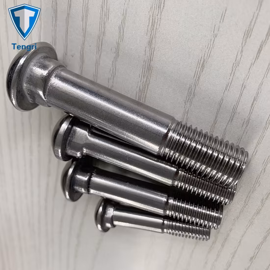 Parafuso de pescoço oval de aço inoxidável A2 A4 Parafuso de rabo de peixe Ferroviário Parafuso de placa de peixe Parafuso de peixe ferroviário